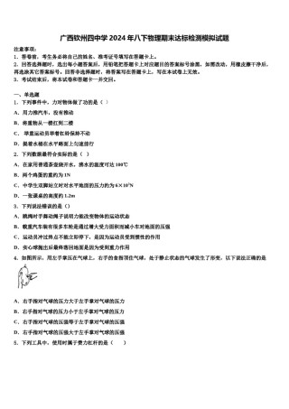 广西钦州四中学2024年八下物理期末达标检测模拟试题含解析.doc
