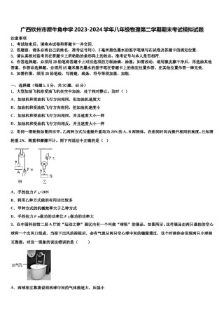 广西钦州市犀牛角中学2023-2024学年八年级物理第二学期期末考试模拟试题含解析.doc