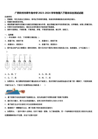广西钦州市犀牛角中学2023-2024学年物理八下期末综合测试试题含解析.doc