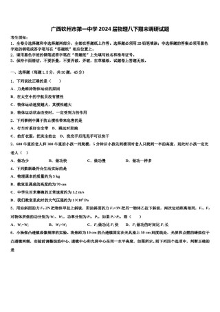 广西钦州市第一中学2024届物理八下期末调研试题含解析.doc