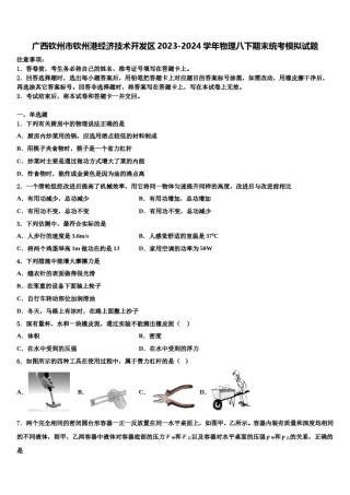 广西钦州市钦州港经济技术开发区2023-2024学年物理八下期末统考模拟试题含解析.doc