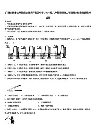 广西钦州市钦州港经济技术开发区中学2024届八年级物理第二学期期末综合测试模拟试题含解析.doc