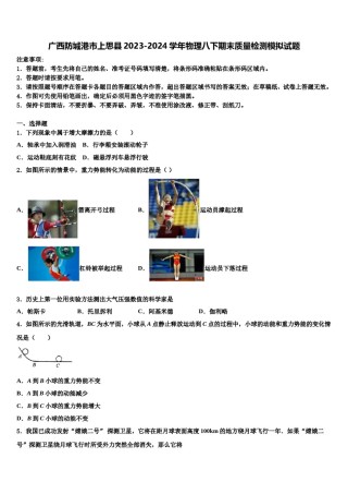 广西防城港市上思县2023-2024学年物理八下期末质量检测模拟试题含解析.doc