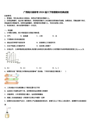 广西陆川县联考2024届八下物理期末经典试题含解析.doc