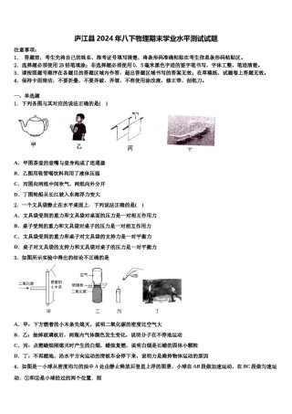 庐江县2024年八下物理期末学业水平测试试题含解析.doc