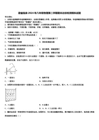 徽省临泉2024年八年级物理第二学期期末达标检测模拟试题含解析.doc