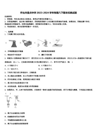 怀化市重点中学2023-2024学年物理八下期末经典试题含解析.doc