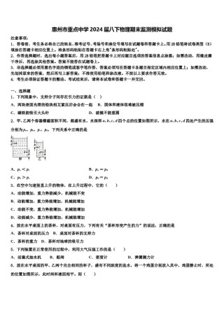 惠州市重点中学2024届八下物理期末监测模拟试题含解析.doc