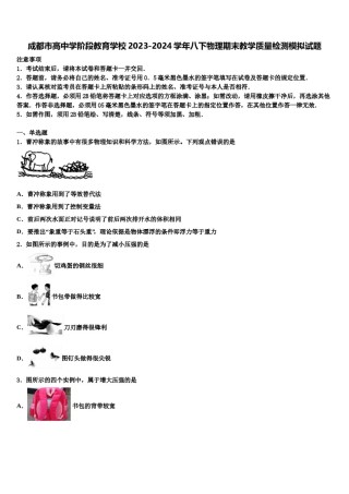 成都市高中学阶段教育学校2023-2024学年八下物理期末教学质量检测模拟试题含解析.doc