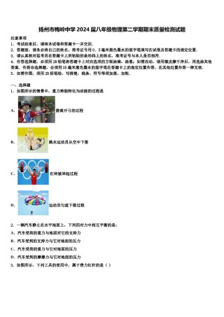 扬州市梅岭中学2024届八年级物理第二学期期末质量检测试题含解析.doc