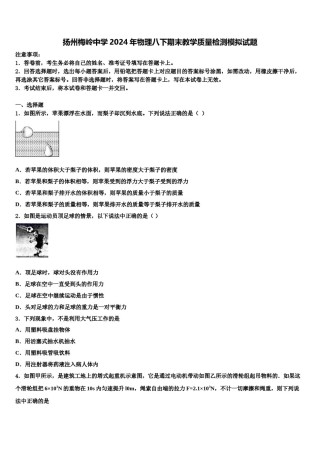 扬州梅岭中学2024年物理八下期末教学质量检测模拟试题含解析.doc