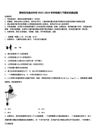 攀枝花市重点中学2023-2024学年物理八下期末经典试题含解析.doc