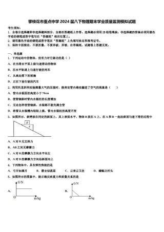 攀枝花市重点中学2024届八下物理期末学业质量监测模拟试题含解析.doc