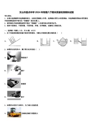文山市重点中学2024年物理八下期末质量检测模拟试题含解析.doc