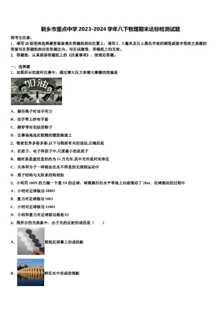 新乡市重点中学2023-2024学年八下物理期末达标检测试题含解析.doc