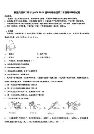 新疆兵团农二师华山中学2024届八年级物理第二学期期末调研试题含解析.doc