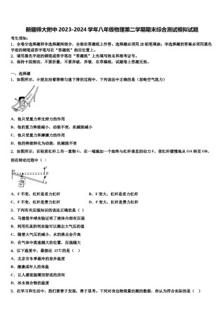 新疆师大附中2023-2024学年八年级物理第二学期期末综合测试模拟试题含解析.doc
