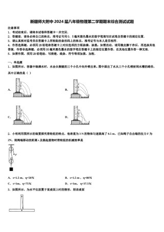 新疆师大附中2024届八年级物理第二学期期末综合测试试题含解析.doc