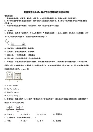 新疆沙湾县2024届八下物理期末检测模拟试题含解析.doc