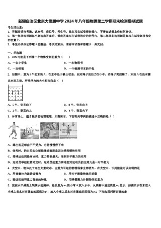新疆自治区北京大附属中学2024年八年级物理第二学期期末检测模拟试题含解析.doc