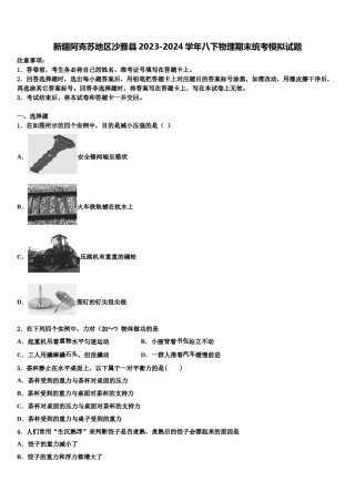 新疆阿克苏地区沙雅县2023-2024学年八下物理期末统考模拟试题含解析.doc