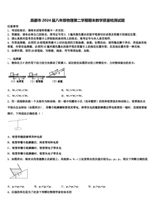 昌都市2024届八年级物理第二学期期末教学质量检测试题含解析.doc