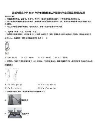 昌都市重点中学2024年八年级物理第二学期期末学业质量监测模拟试题含解析.doc