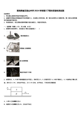 期海南省五指山中学2024年物理八下期末质量检测试题含解析.doc