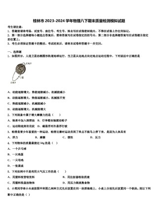桂林市2023-2024学年物理八下期末质量检测模拟试题含解析.doc