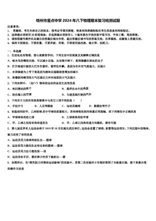 梧州市重点中学2024年八下物理期末复习检测试题含解析.doc