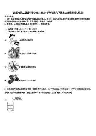 武汉市第二初级中学2023-2024学年物理八下期末达标检测模拟试题含解析.doc