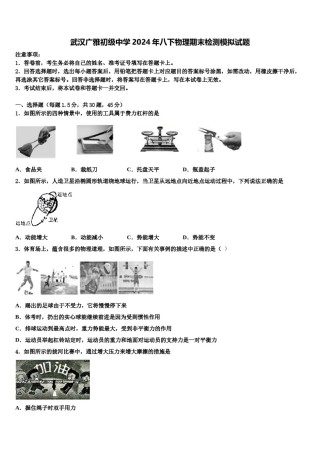 武汉广雅初级中学2024年八下物理期末检测模拟试题含解析.doc