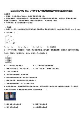 江汉区部分学校2023-2024学年八年级物理第二学期期末监测模拟试题含解析.doc