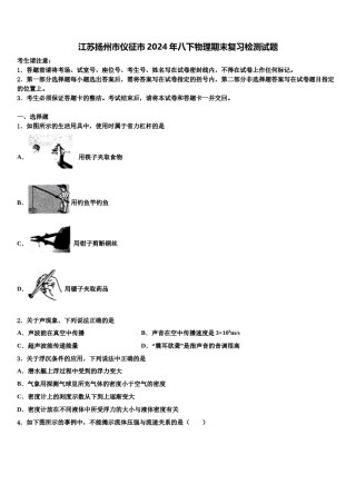 江苏扬州市仪征市2024年八下物理期末复习检测试题含解析.doc