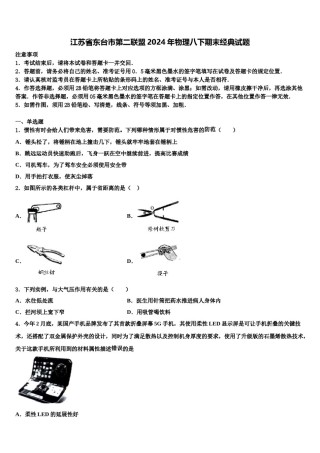 江苏省东台市第二联盟2024年物理八下期末经典试题含解析.doc
