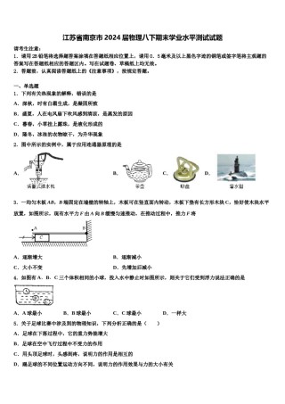 江苏省南京市2024届物理八下期末学业水平测试试题含解析.doc