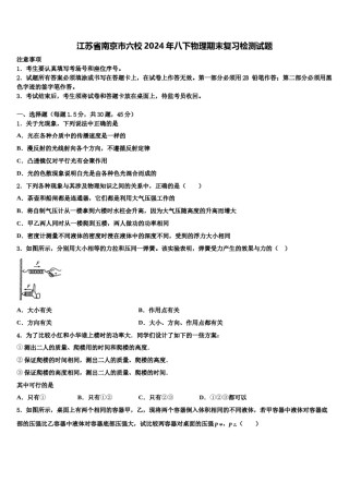 江苏省南京市六校2024年八下物理期末复习检测试题含解析.doc