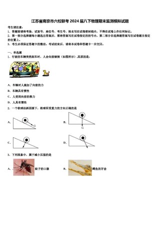 江苏省南京市六校联考2024届八下物理期末监测模拟试题含解析.doc