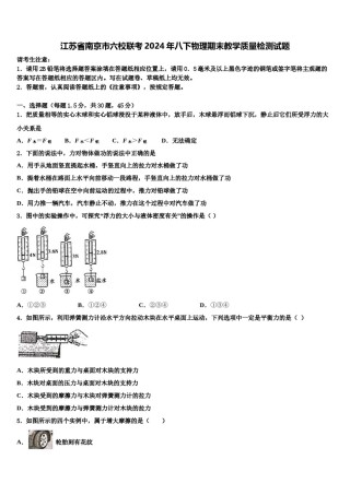 江苏省南京市六校联考2024年八下物理期末教学质量检测试题含解析.doc