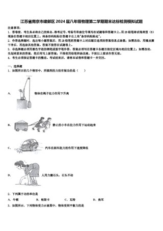 江苏省南京市建邺区2024届八年级物理第二学期期末达标检测模拟试题含解析.doc