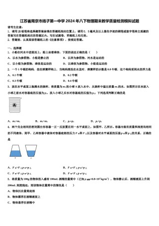 江苏省南京市扬子第一中学2024年八下物理期末教学质量检测模拟试题含解析.doc