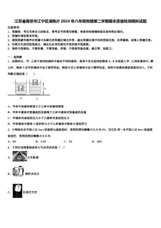 江苏省南京市江宁区湖熟片2024年八年级物理第二学期期末质量检测模拟试题含解析.doc