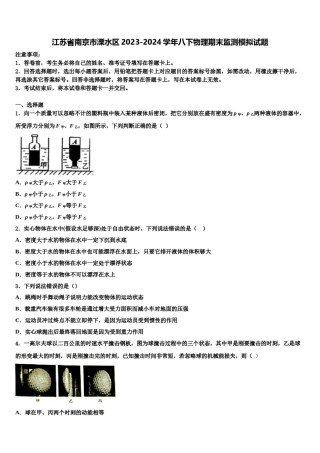江苏省南京市溧水区2023-2024学年八下物理期末监测模拟试题含解析.doc