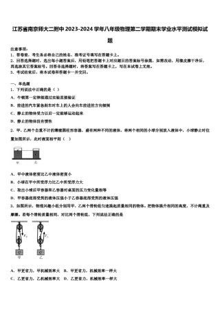 江苏省南京师大二附中2023-2024学年八年级物理第二学期期末学业水平测试模拟试题含解析.doc