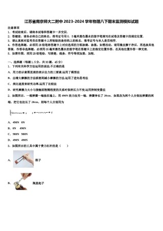 江苏省南京师大二附中2023-2024学年物理八下期末监测模拟试题含解析.doc