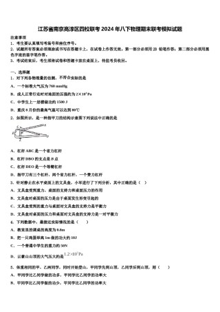 江苏省南京高淳区四校联考2024年八下物理期末联考模拟试题含解析.doc
