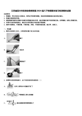江苏省宜兴市张渚徐舍教联盟2024届八下物理期末复习检测模拟试题含解析.doc