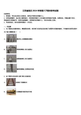 江苏省宿迁2024年物理八下期末联考试题含解析.doc