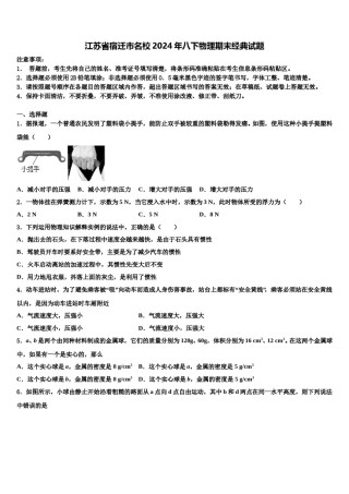 江苏省宿迁市名校2024年八下物理期末经典试题含解析.doc