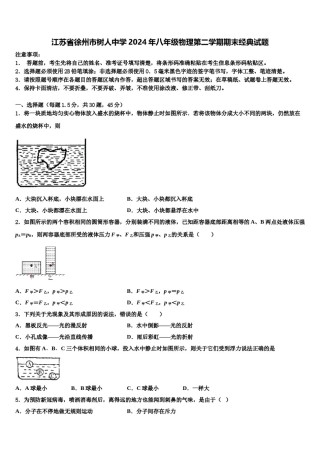 江苏省徐州市树人中学2024年八年级物理第二学期期末经典试题含解析.doc